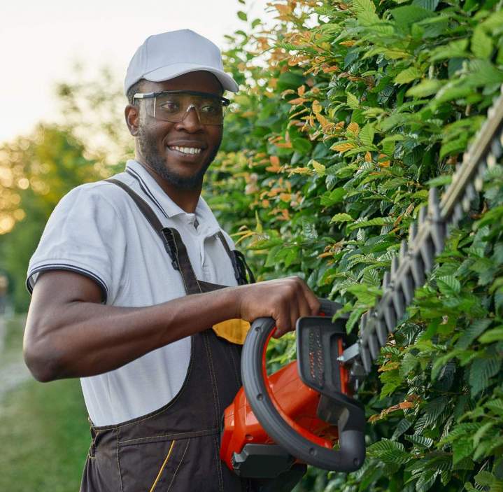 Services d'entretien de jardin Martinique