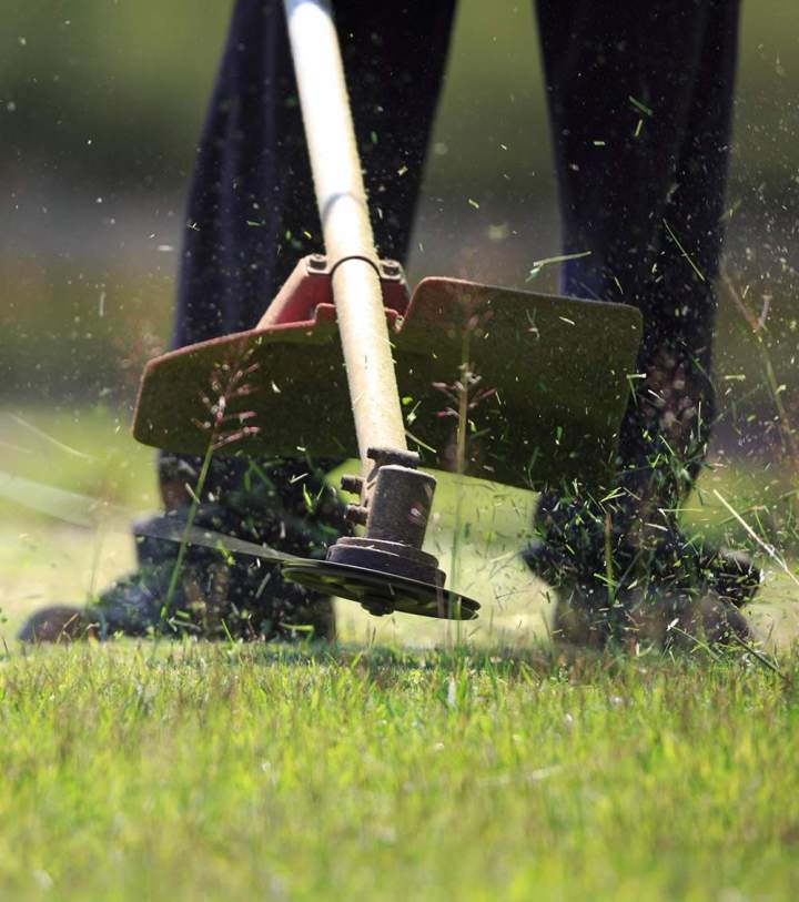 Débroussaillage efficace pour des terrains propres et sécurisés