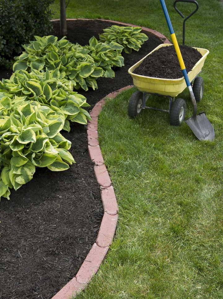 Service d'entretien de jardin Martinique 