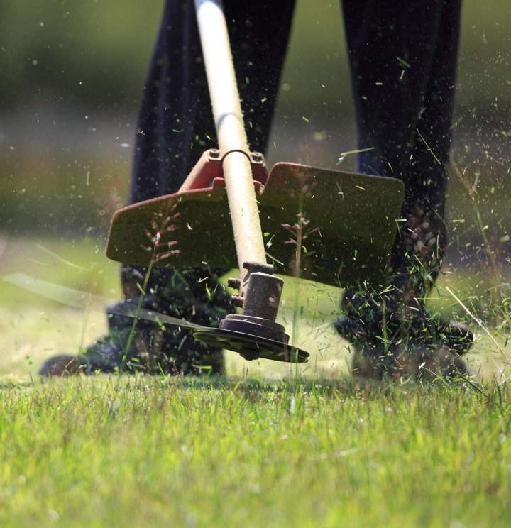 Débroussaillage Martinique